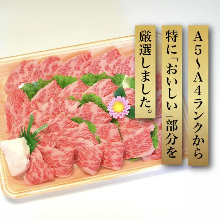 【全6回定期便】博多和牛A5‐A4 カルビ400g 焼肉 たれ付 [ABCJ109]