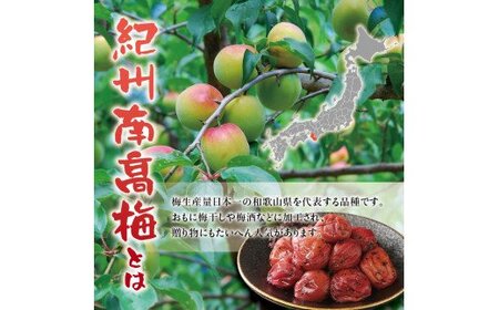 紀州南高梅　うす塩【ハチミツ入】 塩分10%（1kg）なかやまさんちの梅干　うめ　ウメ　【nky006-110k】