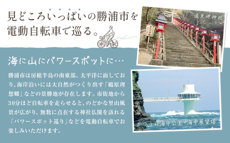 【千葉・房総・勝浦】電動アシスト付 レンタサイクル 1日 乗り放題 利用券 2枚 オリジナル タンブラー 2本付 一般社団法人勝浦市観光協会《30日以内に出荷予定(土日祝除く)》レンタル サイクリング 自転車 千葉県 勝浦市
