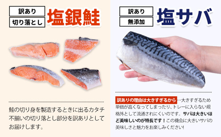 訳あり 塩銀鮭 塩サバ 計2.5kg 株式会社西川