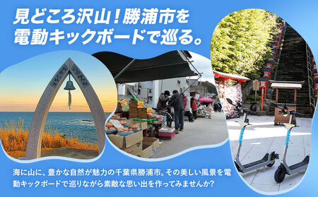 BIRD 電動キックボード 30時間 ライド 無料 ギフトコード 株式会社 Mobilco《30日以内に出荷予定(土日祝除く)》千葉県 勝浦市 電動キックボード 送料無料