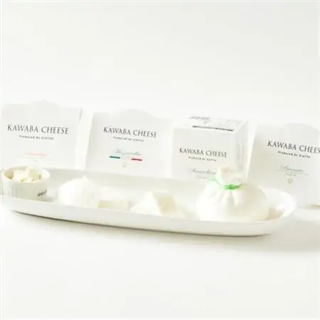 4種のチーズとヨーグルトセット_卵・乳製品 チーズ    卵・乳製品 ヨーグルト  _【配送不可地域：離島・沖縄県】【1340788】