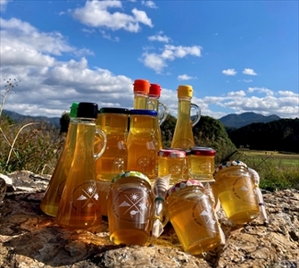 ひょうご丹波五大山蜂蜜300g