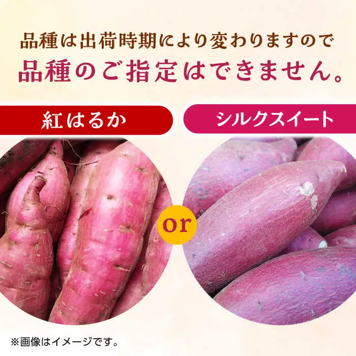 先行予約 紅はるかorシルクスイート蜜芋5kg サツマイモさつまいも ZCN013