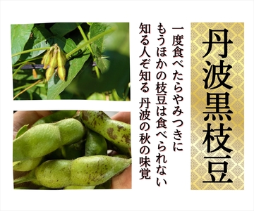 枝豆 丹波黒枝豆 さや 1.5kg 枝豆
