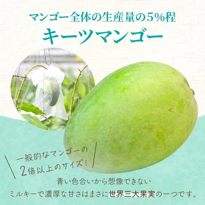 《先行予約 2027年発送》『天使のマンゴー』宮古島産キーツマンゴー《LA MANGUE BLEUE》【ご自宅用】農家直送 1.6kg以上（2個入り）（GZ007）