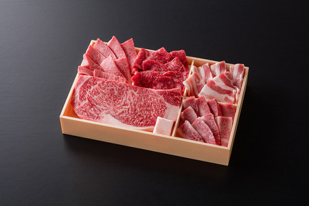 DV087_佐賀県産牛・豚　焼肉セット計550g (5種）