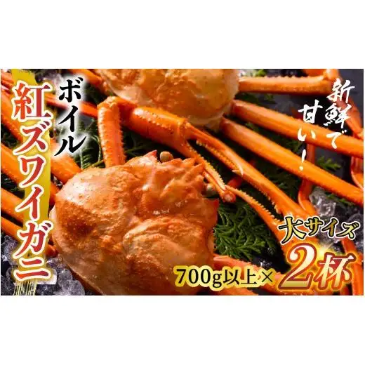 【先行予約】 ボイル紅ズワイガニ 大サイズ 川村水産 | 蟹 カニ ズワイ