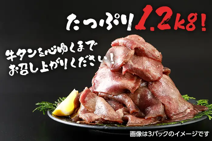 牛タン 1.2kg 焼肉 旨塩タレ スライス 400g×3  追いダレ付き 牛タン