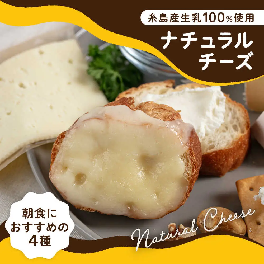 糸島産生乳100％使用 手作り チーズ 4種 TAKセレクト【モーニング】 糸島市 / 糸島ナチュラルチーズ製造所TAK-タック- [AYC014]