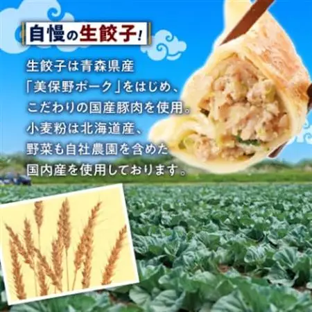 冷凍生餃子とラーメン10人前セット　ぎょうざの満洲_冷凍 生餃子 ラーメン セット ぎょうざの満洲_【配送不可地域：離島】【1238198】