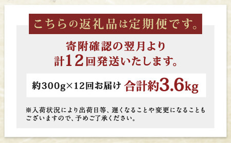 【12ヶ月定期便】長崎県産 本マグロ 赤身 300g 2人前～3人前 鮪 魚 刺身 【大村湾漁業協同組合】