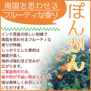 安樹屋 愛媛県明浜産 ポンカン ５kg（家庭用） AYK0005