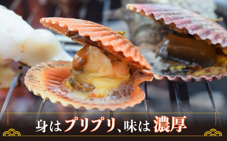 ひおうぎ貝 20枚  海鮮 魚介 貝 BBQ  [WAI085]
