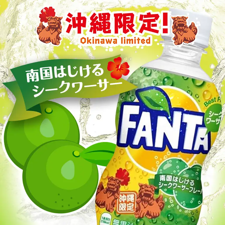 【沖縄限定販売！】ファンタ　シークワーサー　500ml×24本　｜シークワ―サー　ファンタ AY03