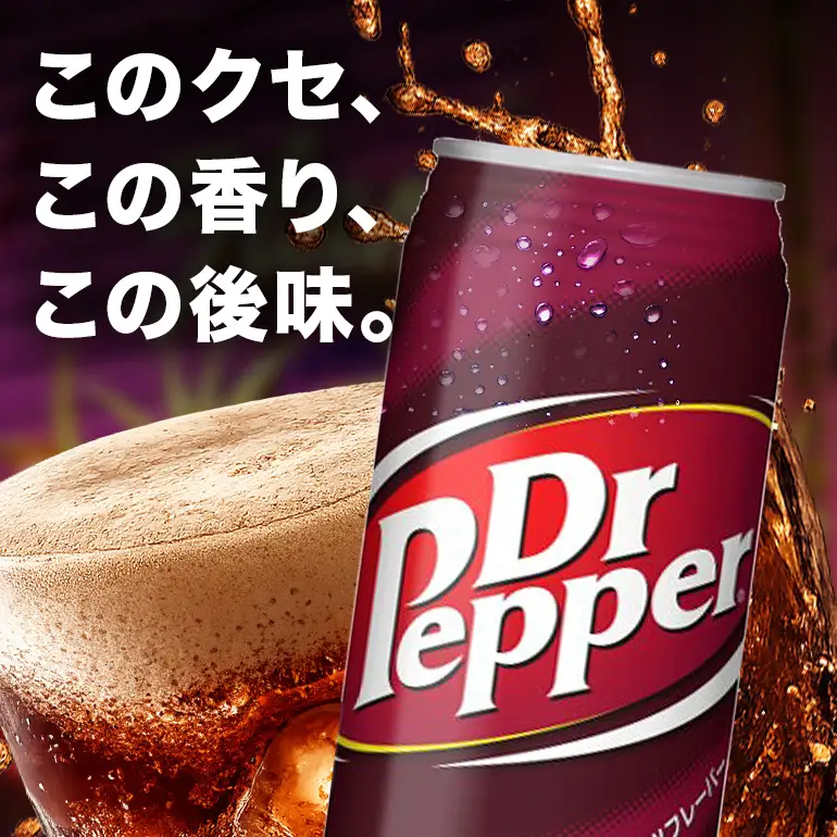 ドクターペッパー 　500ml×24本｜ドクターペッパー AY09
