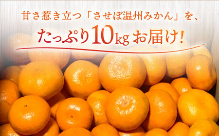 させぼ温州みかん 10kg [OAG007]  みかん