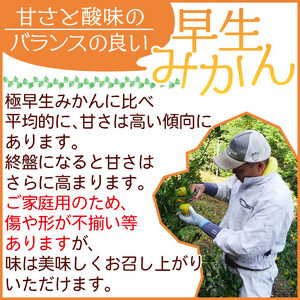 ＜安樹屋 愛媛県明浜産 温州みかん（早生） 約10kg 家庭用＞ 柑橘類 みかん ミカン 蜜柑 果物 くだもの フルーツ 安樹屋 愛媛県 西予市 【常温】『2025年11月中旬～11月末迄に順次出荷予定』AYK0004