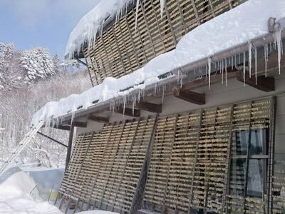 《先行予約》【2024年2月上旬より発送】【訳あり】簡易包装 大容量 家庭用 奥飛騨山之村 寒干し大根 伝統保存食 乾物 干し大根 煮物 すき焼き おでん 漬物 500g×1袋[Q1270]