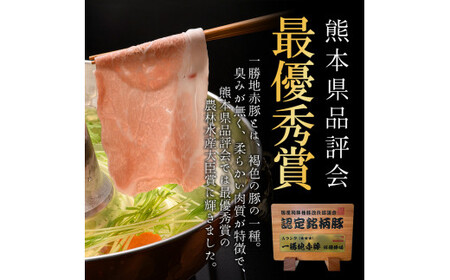 熊本県 球磨村 農林水産大臣賞受賞 一勝地赤豚 詰め合わせ 3.1kg FKP9-140