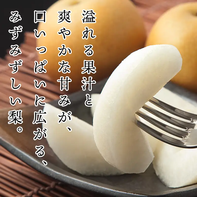  FKP9-717 【先行予約】里山の恵み梨（約2.5kg）