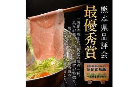  ≪6ヵ月定期≫一勝地赤豚しゃぶしゃぶセット（1kg） FKP9-462