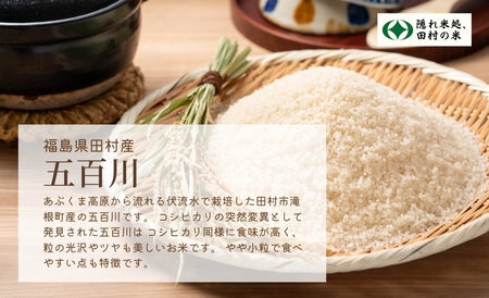 【新米】 ＼ 先行予約開始／ 【無洗米】令和7年産 五百川 5kg 9月下旬発送 農家直送 お米 贈答 美味しい 米 kome コメ ご飯 特A ランク 一等米 単一米 精米 玄米 国産 福島県 田村市 光農園