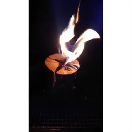 とくしまスウェーデントーチ(ハーフサイズ1本　プチサイズ2本)_雑貨・日用品 アウトドア用品 スポーツ・アウトドア用品   雑貨・日用品 キャンプ用品 スポーツ・アウトドア用品 _【1337992】