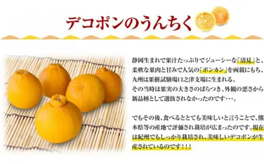  デコ 不知火 約5kg サイズおまかせ / デコポン 不知火 蜜柑 みかん 柑橘 果物 フルーツ 紀伊国屋文左衛門本舗 ※2027年2月上旬～4月上旬頃順次発送予定(お届け日指定不可) 【kmtb010-r-5】