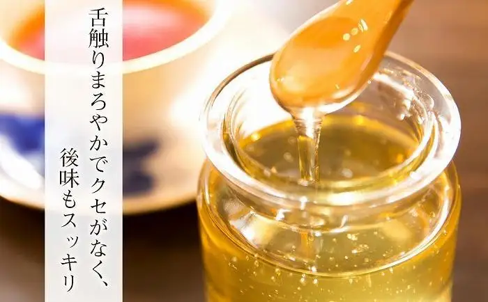 南魚沼産アカシアはちみつ ３００ｇ×２本【ハチミツ 蜂蜜 ハニー 非加熱 セット あかしあ 健康食品 国産 保存 備蓄 防災 非常食 常温】