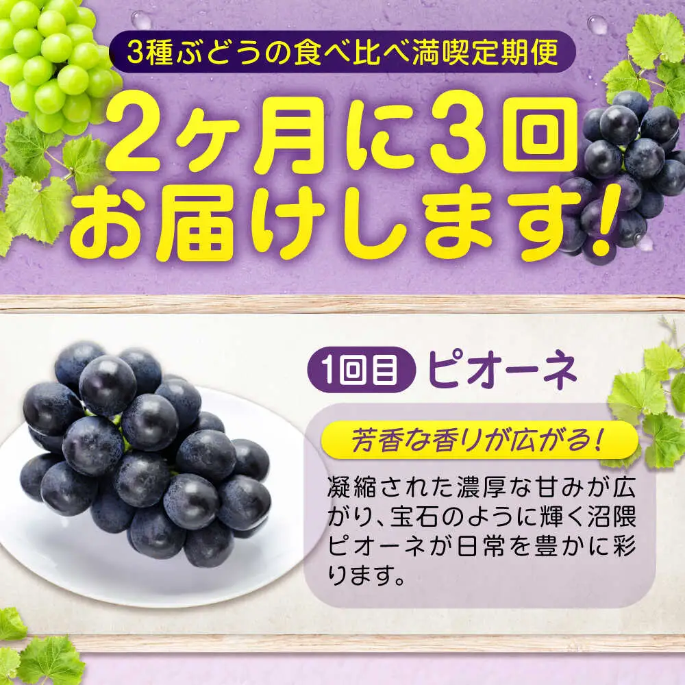 【全3回定期便】3種の沼隈ぶどう定期便 各2kg [BAEV003] ピオーネ ニューベリーA シャインマスカット