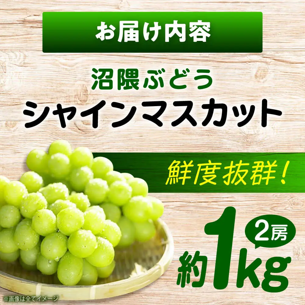 福山市産シャインマスカット 約1kg【2026年発送】 [BAEV005] シャインマスカット