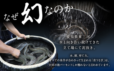 最高級 特上 幻の青うなぎ 8尾 うなぎ