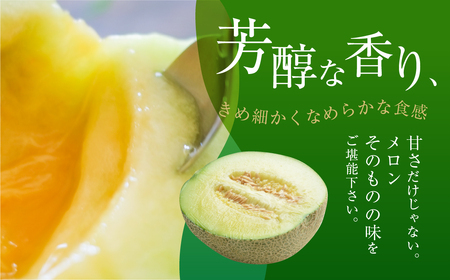  2027年《先行予約》マスクメロン 2玉  メロン 2L～3Lサイズ