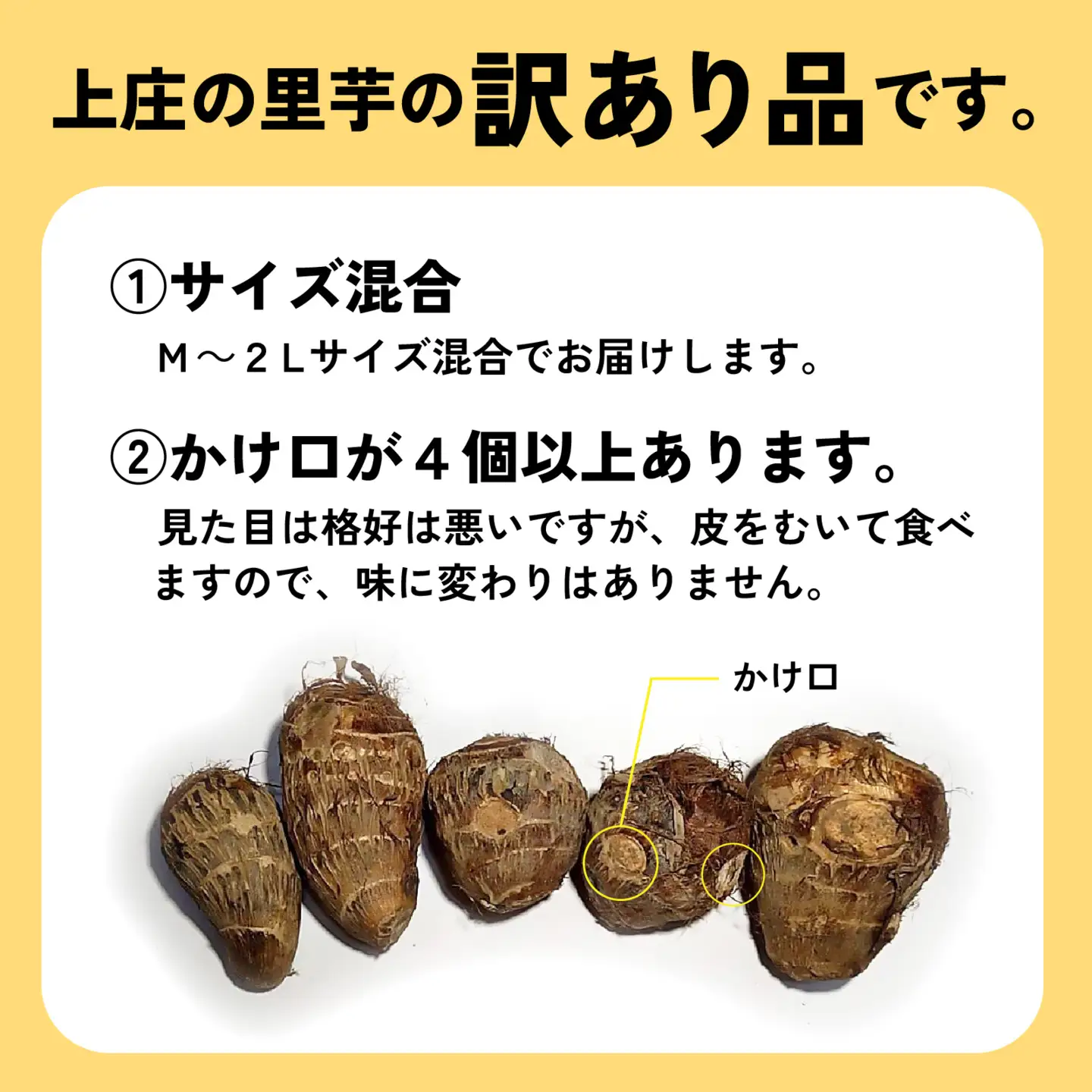 【先行予約】訳あり！上庄の里芋　5kg【土付】【11月より順次発送】
