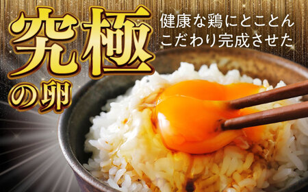 卵 【6回定期便】卵 30個入りMサイズ [ANAZ004] 卵