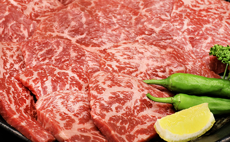 ふるさと納税　飛騨牛 もも肉 赤身 焼肉 500g A5 和牛 牛肉 お肉 モモ モモ肉 焼肉用 バーベキュー BBQ 