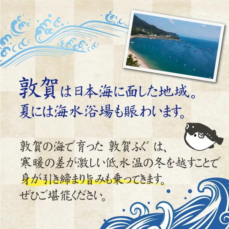 ＜先行予約＞【11月発送】フグ 敦賀ふぐ鍋てっさセット（4～5人用） 【冷蔵 ふぐ刺し 河豚 ふぐ 海鮮 鍋 なべ】