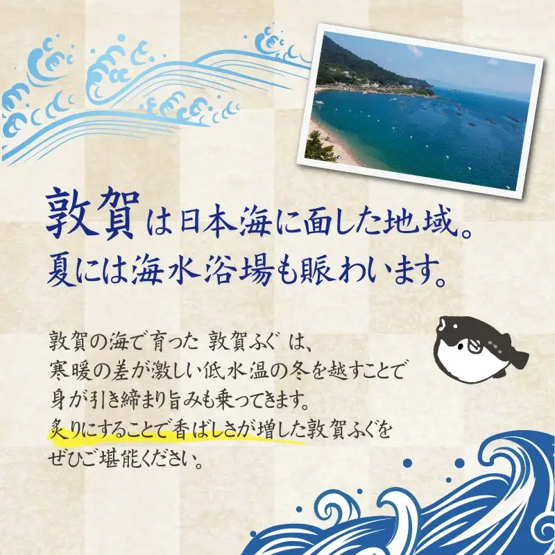 ＜先行予約＞【11月発送】フグ 敦賀ふぐ鍋たたきセット（4～5人用）【フグ鍋 海鮮 鍋 なべ お鍋 てっちり てっさ ヒレ酒 河豚】