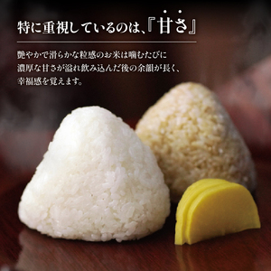 令和8年産 新米 ミルキークイーン 10kg×2袋 お米 WN