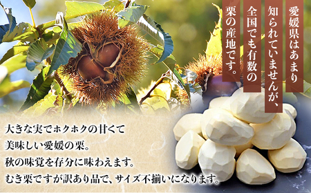 【先行予約】＜訳あり むき栗 150g入り×4袋 愛媛県西予市産＞ くり 生栗 剥き栗 フルーツ マロン モンブラン 家庭用 栗ご飯 栗きんとん 栗の甘露煮 秋の味覚 特産品 国産 宇都宮物産 愛媛県 西予市【冷蔵】『2026年9月中旬～10月下旬迄に順次出荷予定』UUB0041