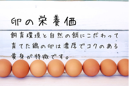 【3ヶ月定期便】黄身は濃厚、白身あっさり爽やか こだわり卵【輝翔卵】20玉×3ヶ月 合計60玉 ※着日指定不可 ※離島への配送不可