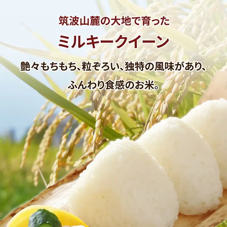 【先行予約】令和8年産 茨城県産 ミルキークイーン 精米2kg ※2026年10月～発送