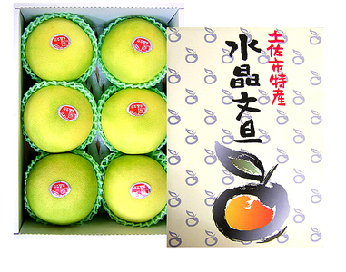 【C06034】温室　水晶文旦　3kg・5〜7玉［期間限定品］