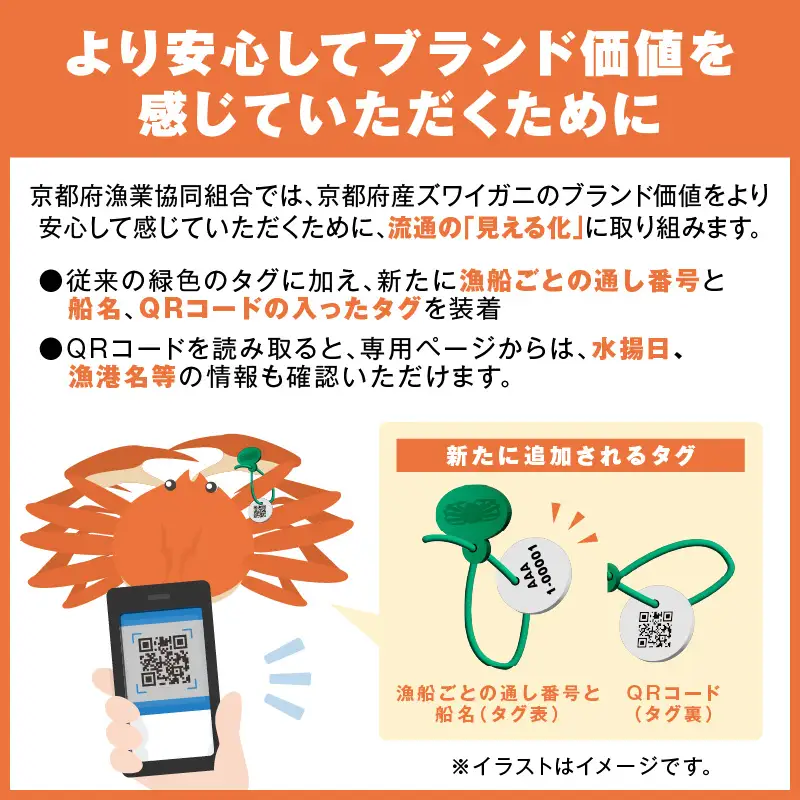 【幻のズワイ蟹】京丹後産 茹で間人蟹 鮮度抜群、釜茹でにてお届け！！ 800g級×1杯