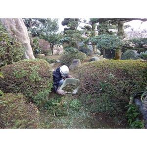 ふるさと実家近くのあんしん見守り隊（半日）