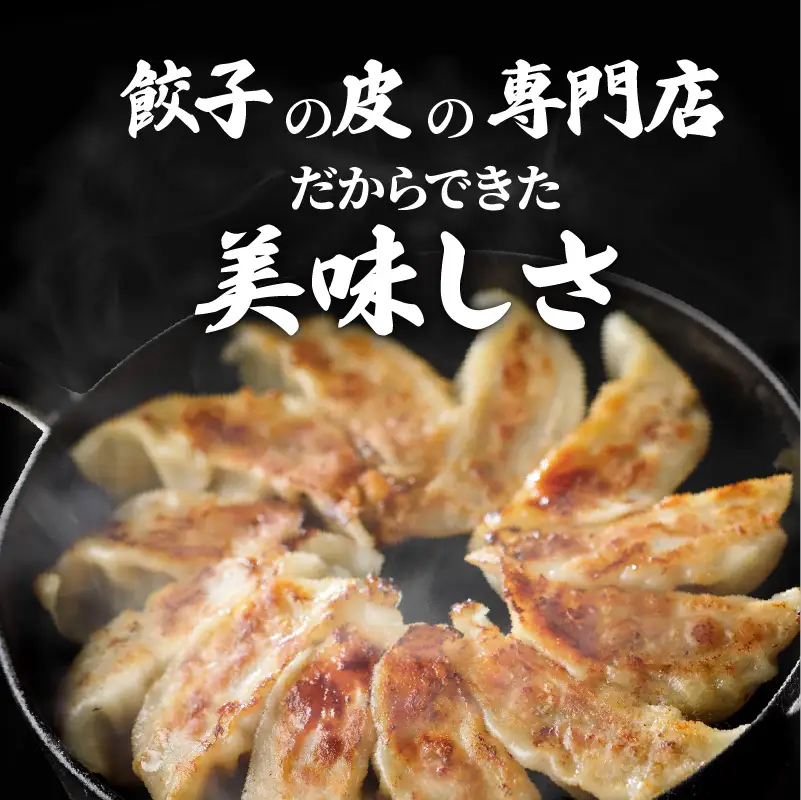 餃子 ・ 焼売 の皮 専門店の自信作！ 鹿児島県産 黒豚 餃子 K033-002 肉 豚肉 惣菜 総菜 冷凍