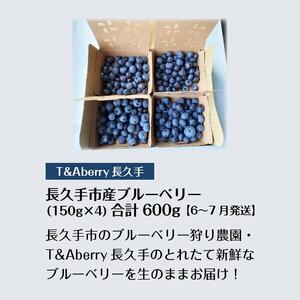 【摘みたてフレッシュ】一粒一粒ていねいに摘み取ったブルーベリーを生のままお届け　600g(150g×4パック）［ 摘みたてフレッシュ ブルーベリー 生 セット 果物 フルーツ 人気 おすすめ ギフト プレゼント お取り寄せ 通販 送料無料 ふるさと納税 ］