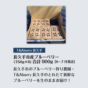 【摘みたてフレッシュ】一粒一粒ていねいに摘み取ったブルーベリーを生のままお届け　900g(150g×6パック）［ 摘みたてフレッシュ ブルーベリー 生 セット 果物 フルーツ 人気 おすすめ ギフト プレゼント お取り寄せ 通販 送料無料 ふるさと納税 ］