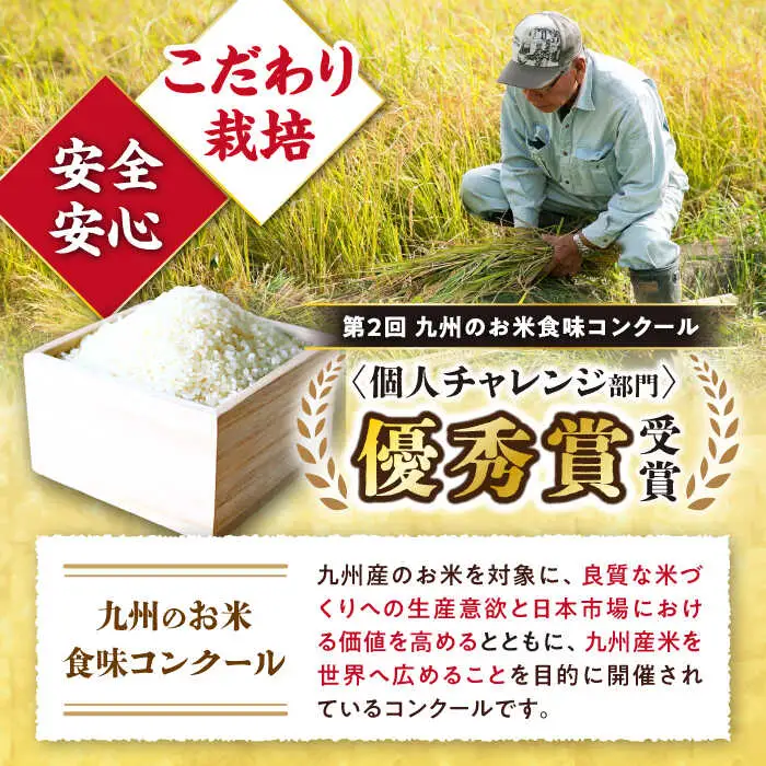 ヒノヒカリ 白米 10kg CBR004 白米
